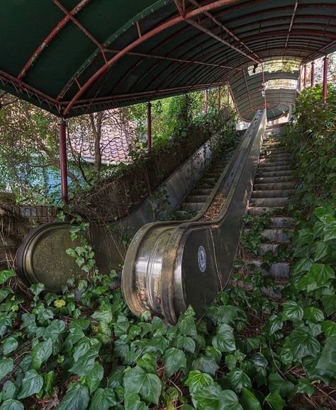 20 Places Being Swallowed By Time - Ftw Gallery Deserted Places, Apocalypse Landscape, Dystopian Aesthetic, Apocalypse Aesthetic, Abandoned Buildings, Nature Aesthetic, End Of The World, Pretty Places, Green Aesthetic