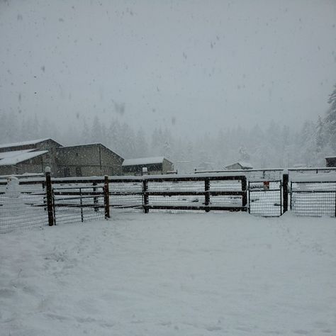 Snowy Farm Aesthetic, Small Town Snow Aesthetic, Winter Hunting Aesthetic, Orbiting Jupiter Aesthetic, Farm In Winter, Winter Cowboy Aesthetic, Winter Apocalypse Aesthetic, Wyoming Aesthetic Winter, Country Winter Aesthetic