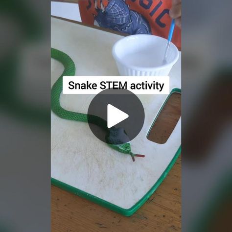 Are your kids learning about snakes or are fascinated by snakes? Then ... | snakes | TikTok Snake Activities For Toddlers, Snake Activities For Kids, Snake Science Preschool, Snake Games For Kids, Wiggling Snakes Experiment, Kids At Work, Stem Night, Snake Shedding, Kindergarten Stem