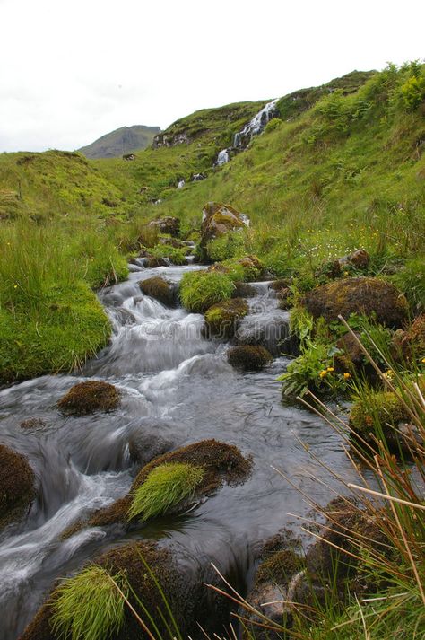 Moorland Aesthetic, Aesthetic Meadow, Stream Aesthetic, Stream Nature, Stream Landscape, Streams Of Water, Mountain Streams, Calming Nature, Natural Spring Water