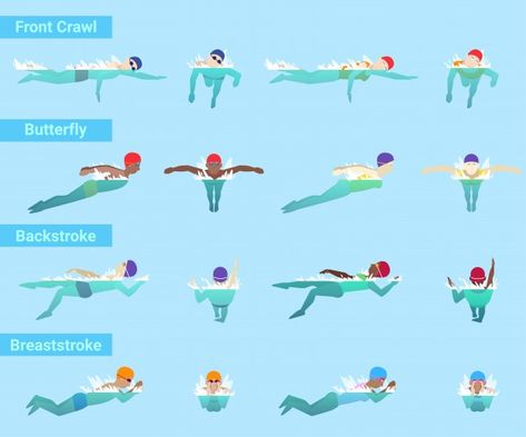 Swimming swimmer sportsman swims in swi... | Premium Vector #Freepik #vector #water #sport #butterfly #stroke Swimming Infographic, Different Swimming Strokes, Underwater Illustration, Learn Swimming, References Drawing, Swimming For Beginners, Swimming Motivation, Swimming Benefits, Swimming Strokes