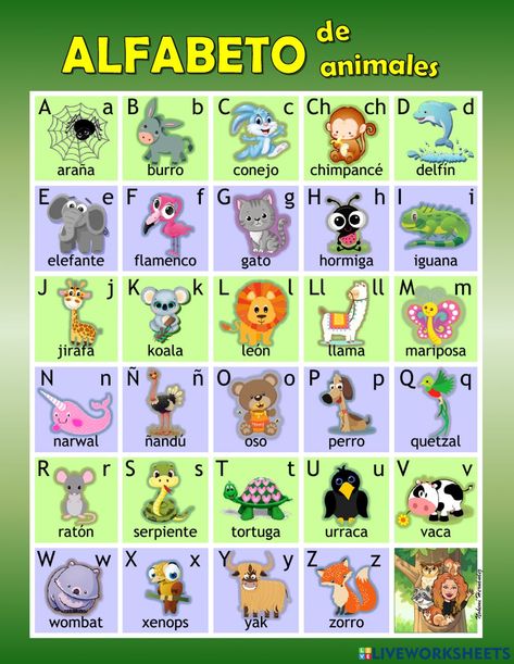 Spanish Words For Kids, Spanish Alphabet Chart, Spanish Writing, Writing Folders, Spanish Lessons For Kids, Spanish Alphabet, Alphabet Charts, Alphabet Cards, Spanish Classroom