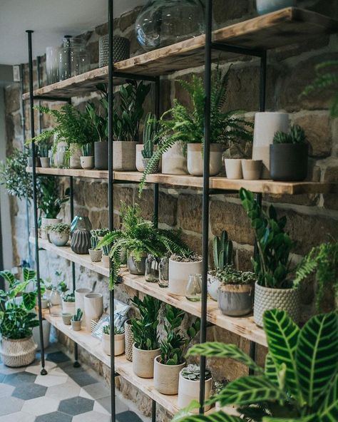 Plant Store Design, Houseplant Store, Plant Shop Ideas, Florist Shop Interior, Garden Center Displays, Flower Shop Interiors, Flower Shop Decor, Flower Shop Design, Plant Store