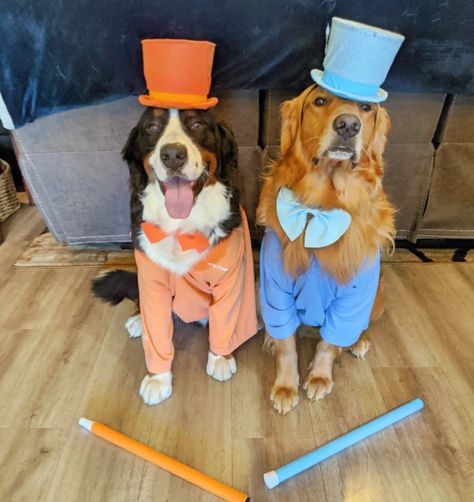 Fun Dog Halloween Costumes, Funny Big Dog Costumes, Matching Dog Halloween Costumes For 2 Dogs, Creative Dog Costumes Diy, Cute Puppy Halloween Costumes, Group Costumes With Dogs, Group Dog Costumes, Matching Dog Costumes For 2 Dogs, Costumes For You And Your Dog