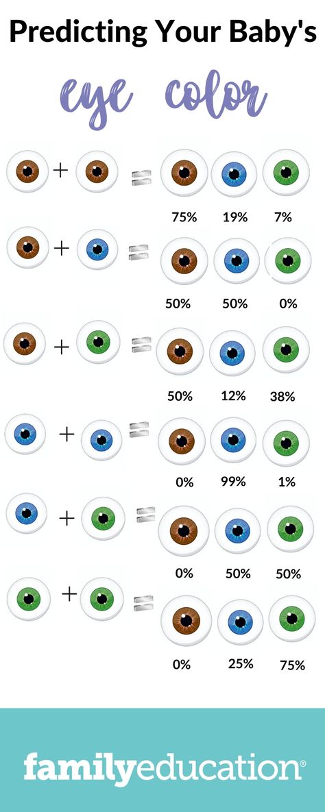 Will My Baby Have Blue Eyes: A Genetic Explanation & Eye Color Chart - FamilyEducation Baby Eye Color Chart, Eye Color Chart Genetics, Blue Eye Facts, Rare Eye Colors, Eye Color Chart, Rare Eyes, Blue Eye Color, Eye Facts, Beautiful Eyes Color