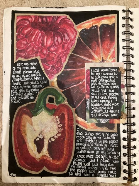 Art School Portfolio Sketchbook Pages, A Level Art Sketchbook Natural Forms, Gcse Layout Ideas, Art Folio Inspiration, Art Sketchbook Title Ideas, Natural Form Drawings, Artist Research Page Gcse Natural Forms, Growth And Decay Art Gcse Mindmap, Nature Gcse Art Sketchbook Pages