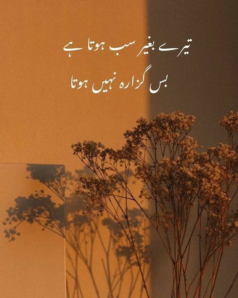 Haidar Ali, Poetry Wallpaper, Romantic Poetry Quotes, Love Quotes In Urdu, Urdu Funny Poetry, Poetry Pic, Soul Love Quotes, Love Romantic Poetry, Love Poetry Images