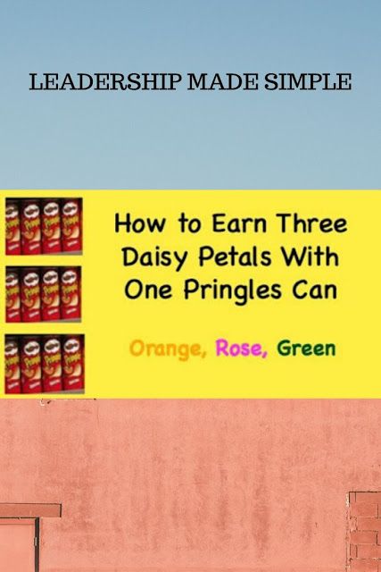 How to Earn Multiple Daisy Petals With One Pringles Can How To Earn Daisy Petals, How To Earn Multiple Daisy Petals At Once, Daisy Petals Activities, Girl Scout Crafts Daisy, Girl Scout Daisy Petals, Scouts Badges, Girl Scout Mom, Daisy Ideas, Brownie Badges