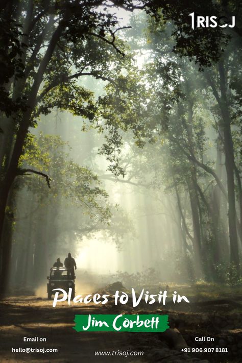 Places to Visit in Jim Corbett Weather In India, Jim Corbett National Park, Elephant Ride, Jim Corbett, Nainital, River Rafting, Tourist Places, India Travel, Walking In Nature