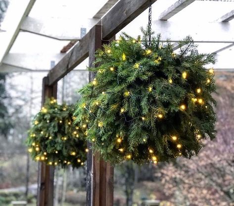 Mirelle Stoor på Instagram: "DIY granboll vänner 🌲😍 Men alltså är det inte det finaste vi sett? Jag fullkomligt älskar det! Ett superroligt pyssel som ser lyser upp…" Julkransar Diy, Homemade Christmas Decorations, Xmas Deco, Easy Christmas Decorations, Nordic Christmas, Instagram Diy, Indoor Christmas Decorations, Christmas Porch, Christmas Decorations Rustic