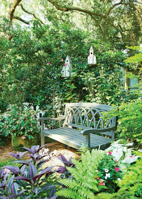 Bench In Front Yard, Front Yard Bench, Garden Sitting Areas, Start Gardening, Landscape Planning, Cottage Landscape, Bench Area, Shady Garden, Tattoo Plant