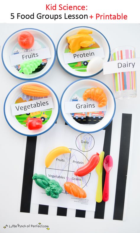 A Little Pinch of Perfect: Science for Kids: Learning about the 5 Food Groups + Printable 5 Food Groups, Food Science Experiments, Protein Fruit, Nutrition Activities, Science Experiments For Preschoolers, Nutrition Month, Food Activities, Nutrition Sportive, Food Groups