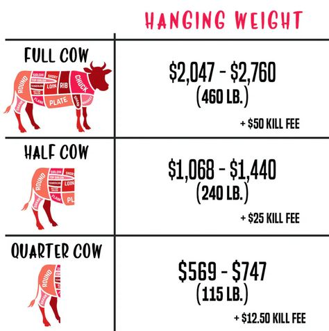 Beef Cuts Chart, Homestead Skills, Butcher Meat, Cow Meat, Butcher's Cut, Cuts Of Beef, Raising Farm Animals, Homemade Foods, Nourishing Traditions