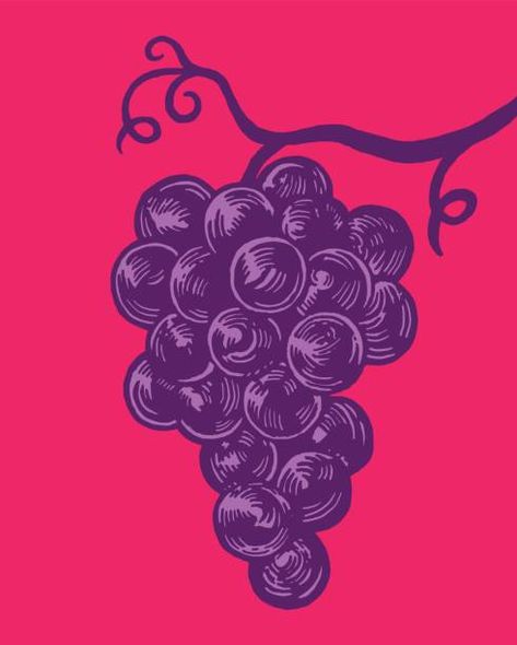 Grapes Illustration Graphics, Vintage Grape Illustration, Grapes Illustration Design, Grapes Illustration, Grape Illustration, Nowruz Crafts, Grapes Art, Grape Drawing, Grapes Design