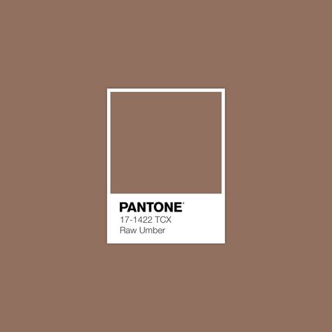 Discover Inspirational Pantone Color Palette · Lab 50,43 12,85 15,08 · sRGB 146 112 95 · HEX 92705F · Pantone · FHI Cotton TCX · PANTONE 17-1422 TCX Raw Umber Brown Pantone, Color Pantone, Pantone Colour Palettes, Pantone Colors, Fall Color Palette, Color Swatch, Potting Soil, Pantone Color, Color Code