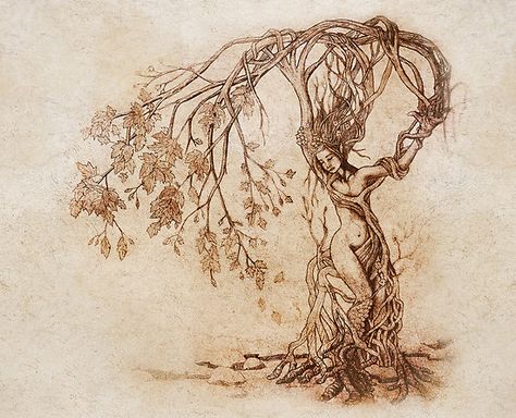 The Hedge Witch - A solitary herbalist and healer, who lived at the (h)edge of town. Spiritual, usually accompanied by birds. Describes my great-great-great-grandmother exactly. Willow Tree Tattoos, Nature Goddess, Geniale Tattoos, Tree Woman, Tree Of Life Tattoo, Hedge Witch, Concept Ideas, Tattoo Life, Tree Illustration