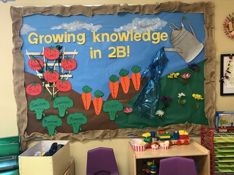 Gardening bulletin board for summer. Knowledge grows here. Classroom Display Ideas, Garden Bulletin Boards, Nutrition Bulletin Boards, Garden Theme Classroom, Garden Classroom, Elementary Classroom Themes, Bulletin Boards Theme, Preschool Boards, April Crafts