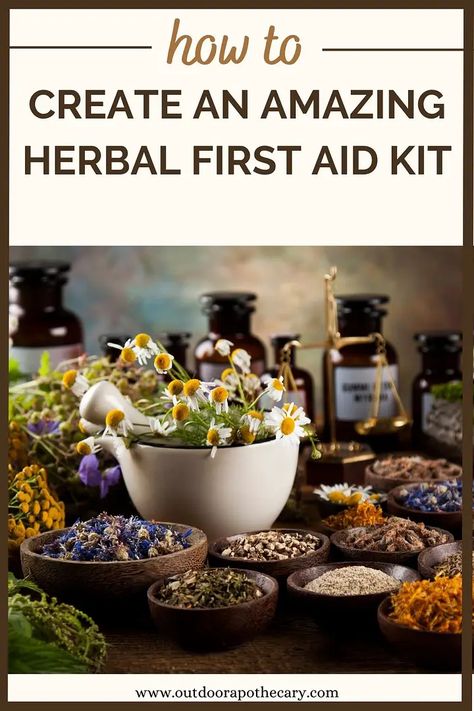 How to Create an Amazing Herbal First Aid Kit Herbal First Aid Kit, Herbal First Aid, Calendula Cream, Apothecary Decor, The Lovers Tarot Card, Importance Of Mental Health, Diy Remedies, Wild Food, Organic Herbs