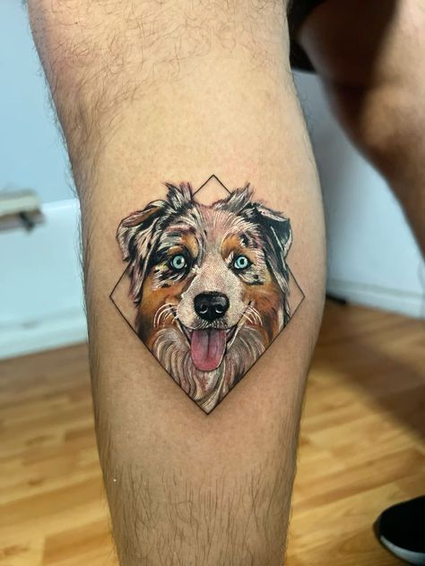 Australian Shepherd Tattoos, Aussie Tattoo Australian Shepherd, Australian Shepherd Tattoo, Geometric Dog Tattoo, Shepherd Tattoo, Pet Tattoo Ideas, Cat Portrait Tattoos, Pet Memorial Tattoo, Dog Portrait Tattoo