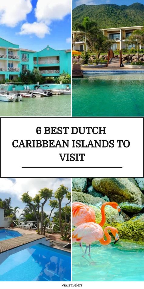 Collage featuring Dutch Caribbean highlights: tropical architecture, hillside villas with pool, and a flamingo by the water, promoting the top 6 islands to visit. Aruba Island, Curacao Island, Islands To Visit, Oranjestad, Caribbean Islands, Capital City, Travel Lifestyle, The Caribbean, Caribbean Netherlands