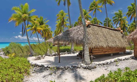 Pension Raimiti, Fakarava B&B Hotel, French Polynesia | Tahiti.com Diving Center, Crashing Waves, Ocean Breeze, Bora Bora, French Polynesia, B & B, Tahiti, Us Travel, Patio Umbrella