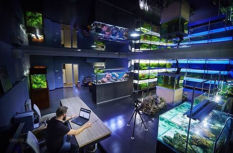 Aquarium Store Design, Reptile Exhibit, Pet Store Ideas, Aquarium Store, Aquarium Shop, Fish Gallery, Amazing Aquariums, Fishing Room, Nature Aquarium