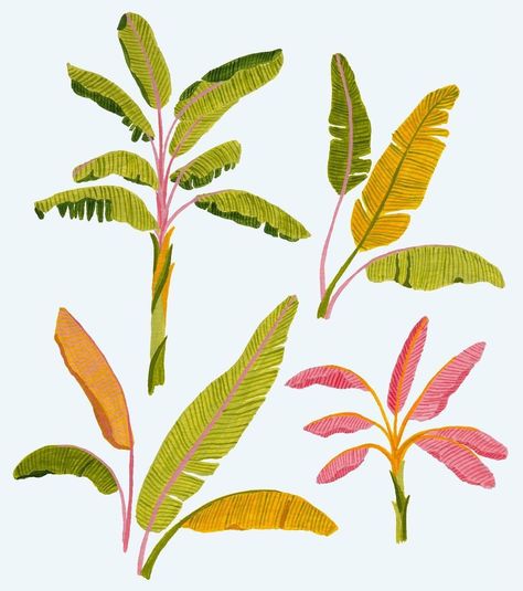 All posts • Instagram Tropical Tree Illustration, Tropical Plants Illustration, Jungle Plant Illustration, Date Palm Tree Illustration, Gouache Palm Tree, Tropical Foliage Illustration, Banana Plants, Art Prompts, Plant Illustration