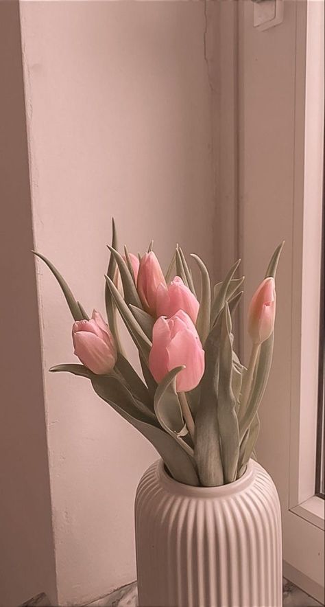 Pink Tulips Wallpaper Aesthetic, Soft Pink Photo, Baby Pink Wallpaper Iphone, Tulip Decor, Fairy Wallpaper, Pink Flowers Wallpaper, Iphone Wallpaper Classy, Iphone Wallpaper Landscape, Paper Background Design