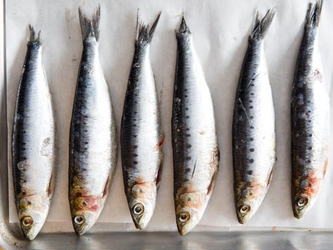 These step-by-step instructions show how to clean and fillet fresh whole sardines using nothing more than a pair of scissors and your fingers. Sardine Pasta, Sardine Recipes, Club Clothes, Knife Skill, Seasoned Bread Crumbs, Sushi Chef, Honey Chicken, Panko Bread Crumbs, Cooking Pan