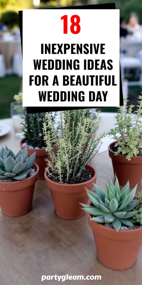 Planning a wedding without losing your budget is totally possible! Check out these 18 incredibly affordable wedding ideas that will help you create a beautiful and memorable day. From chic potted plants for centerpieces to DIY decor options, these innovative tricks will impress your guests and keep your wallet happy. Discover how to make your ceremony stunning and sharing magical moments without overspending. Let the creativity flow with these savvy suggestions for captivating every corner of your big day! No Flowers Wedding Decor, No Flower Wedding Decor, Plants For Centerpieces, Inexpensive Wedding Ideas, Affordable Wedding Ideas, Inexpensive Wedding Centerpieces, Succulent Favors, Dream Venue, Create A Signature