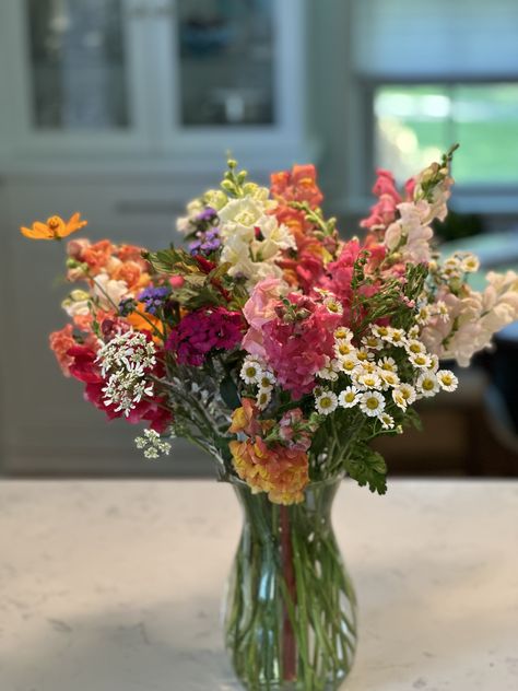 All winter sown flowers: Snapdragon, stock, feverfew, ageratum, plume celosia, dusty miller, Yarrow, statice, cosmos, and orlaya. Celosia Flower Bouquets, Feverfew Bouquet, Flowers Snapdragon, Statice Bouquet, Snapdragon Bouquet, Random Wishlist, Winter Sowing, Snapdragon Flowers, Dusty Miller