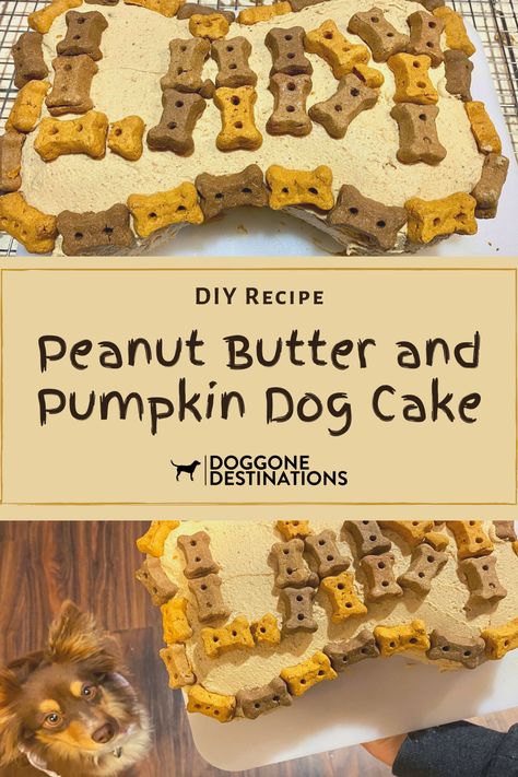 Dog Cake Recipe Easy Pumpkin, Dog Birthday Cake Easy Pumpkin, Dog Birthday Cake Pumpkin Peanut Butter, Peanut Butter Pumpkin Dog Cake, Microwave Dog Cake Recipe, Pumpkin Cake For Dogs, Dog Cake Recipe Easy Peanut Butter, Pumpkin Dog Cake Recipe, 4 Ingredient Dog Cake