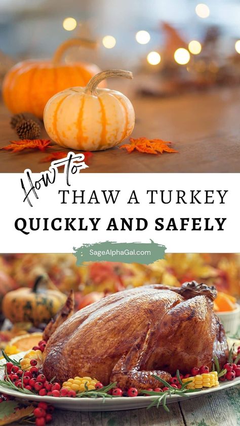 Looking for tips on how to thaw a turkey safely and easily? Whether you're planning ahead or need a quick fix, this guide will show you how to thaw a frozen turkey in three ways: the refrigerator, cold water, and microwave. Learn the best practices for fast turkey thawing while ensuring that your bird stays safe to eat. Find out when and how to thaw your turkey so it's ready just in time for the big meal. No need to panic — Thanksgiving will be saved! How To Thaw A Turkey Frozen, Defrost Turkey Frozen Quickly, How To Cook A Frozen Turkey, When To Unthaw Turkey, Make Turkey Ahead Of Time, Thaw Turkey Frozen, How To Thaw A Turkey Quickly, Quick Thaw Turkey, Turkey Thawing Guide