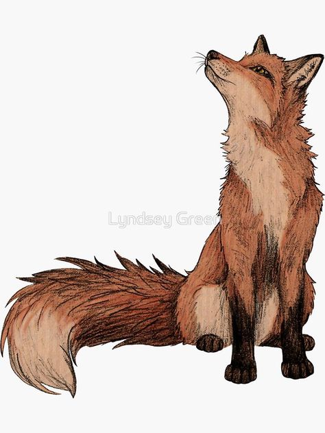 Red Fox Tattoos, Pencil Drawings Of Animals, Boho Hairstyle, Fox Drawing, Foxy Brown, Fox Illustration, Fox Tattoo, Hairstyle Inspo, Tree Illustration