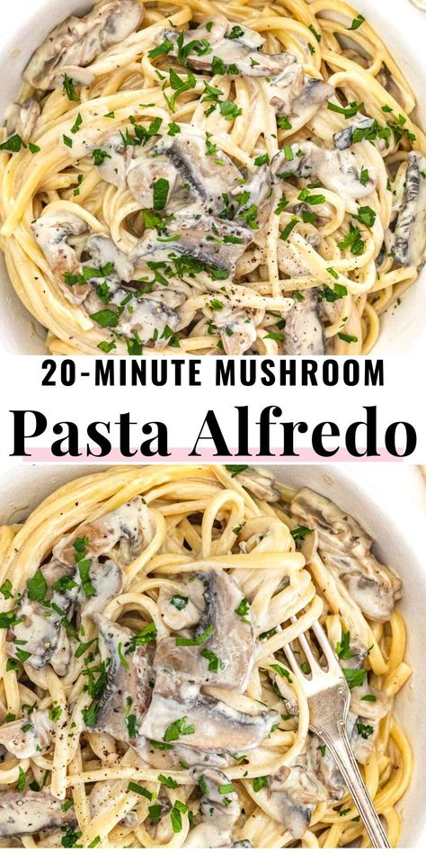 Fettucini Alfredo Recipe, Mushroom Alfredo, Pasta With Alfredo Sauce, Mushroom Recipes Pasta, Plant Based School, Pasta Recipes Alfredo, Creamy Mushroom Pasta, Fettuccine Alfredo Recipes, School Recipes