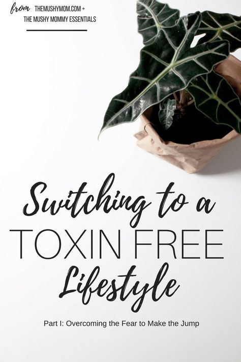 The first part in our series on switching to a toxin free lifestyle! Low Toxin Living, Simple Homestead, Crunchy Life, Your Body Is A Temple, Sustainability Tips, Nontoxic Living, 0 Waste, Chemical Free Makeup, Bought With A Price