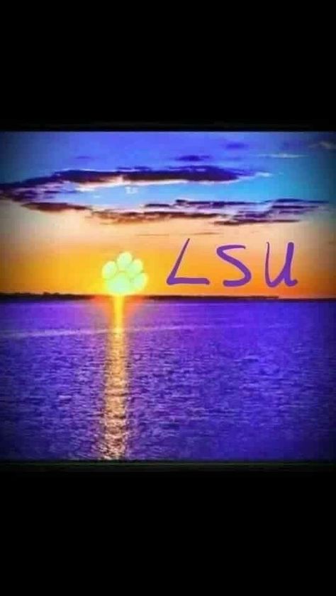 Lsu Designs, Lsu Decorations, Lsu Wallpaper, Lsu Softball, Lsu Babies, Lsu College, Lsu Baseball, Lsu Game, Lsu Fans