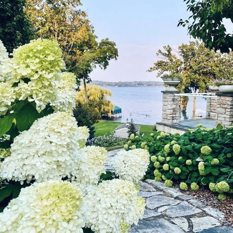 Hydrangeas, lake life, coastal charm, water, nautical, classy, prep Lake Minnetonka, Minnetonka Minnesota, Minnesota Lake, Lake Pictures, Lake Life, Lake View, Minnesota, Hydrangea, Lake House