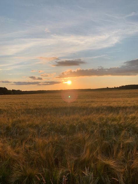 Plain Field Aesthetic, Farm Sunset Aesthetic, Sunset Over A Field, Open Field Aesthetic Sunset, Sunny Grassy Field, Southern Aesthetic, Country Backgrounds, Grassy Field, Hapkido