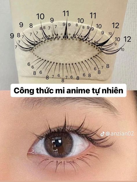 Anime Eyelash Mapping, Anime Lash Map, Lash Map, Natural Fake Eyelashes, Lashes Fake Eyelashes, Lashes Tutorial, Beauty Killer, Eyelash Extensions Styles, Perfect Eyelashes