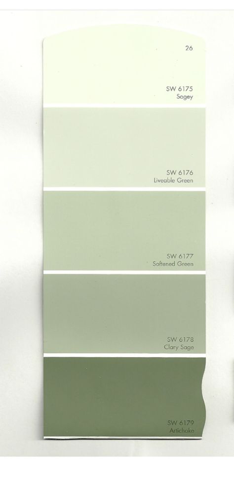 Warna Sage, Pastel Green Wall Color, Drawing Room Color Ideas, Pastel Green Wall Paint, Kamar Hijau Sage, Pista Green Wall Paint, Cat Tembok, Wall Paint Colour Combination, Hallway Colour Schemes