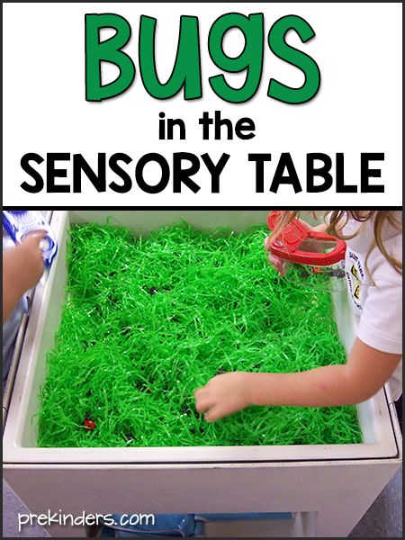 April Lesson Plans, Spring Lesson Plans, Bug Activities, Insects Preschool, Spring Lessons, Bugs Preschool, Insect Activities, Toddler Lessons, Lesson Plans For Toddlers