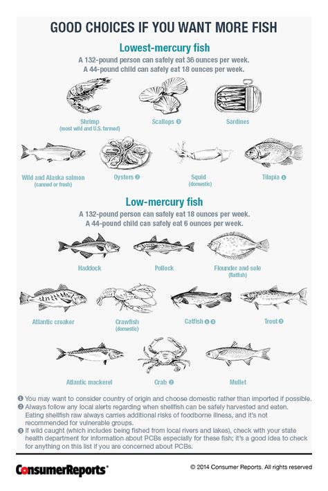 Low Mercury and High Mercury Fishes - Consumer Reports Magazine Low Mercury Fish, Pescatarian Diet, Alaska Salmon, Shrimp Scallops, Nutrition Chart, Make Ahead Meals, Low Fat Recipes, Food Facts, Fish Dishes