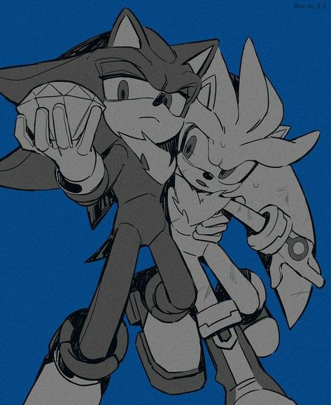 Shadow And Silver, Hedgehog Movie, Silver The Hedgehog, Sonic Franchise, Blue Hedgehog, Sonic 3, Hedgehog Art, Sonic And Shadow, Sonic Fan Art