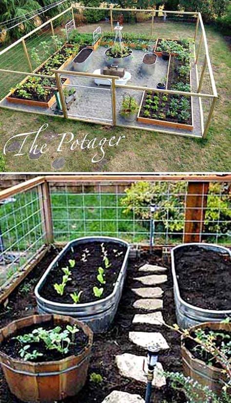 30 Amazing Ideas For Growing A Vegetable Garden In Your Backyard Outdoor Vegetable Garden, Raised Vegetable Gardens, نباتات منزلية, Backyard Vegetable Gardens, Veg Garden, Home Vegetable Garden, Have Inspiration, Garden Plans, Vegetable Gardens