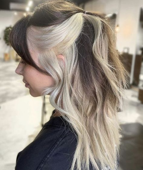 Best 30 Block Dyed Hair You'll Want to Copy Immediately. #blockdyedhair #blockdyedhairshort #blockdyedhaircurly #blockdyedhairblonde Half Peekaboo Hair, Brown And Blond Hair Underneath, Brown With Blonde Hair Underneath, Blonde Underlayer Hair, Peekaboo Hair Color Brunettes Blondes, Brown Hair With Blonde Money Piece And Peekaboo, Narcissa Malfoy Inspired Hair, Narcissa Inspired Hair, Blonde On The Bottom Hair