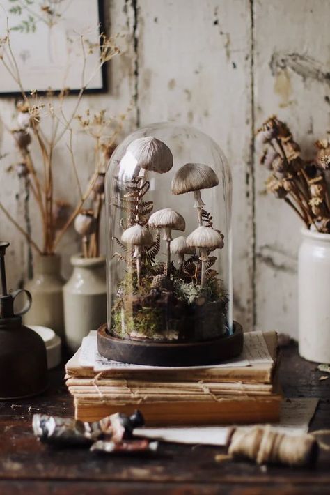 a beautiful and realistic Halloween cloche with mushrooms and moss is a lovely decoration not only for Halloween Halloween Cloche, Cloche Decor, Mushroom Crafts, Easy Halloween Decorations, Halloween Centerpiece, Elegant Halloween, Glass Cloche, Mushroom Decor, Black Vase