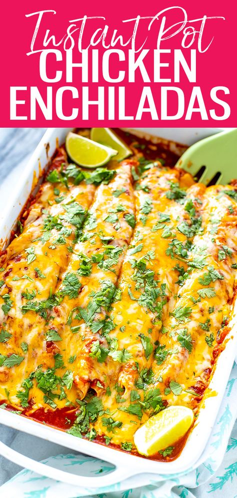 Instant Pot Chicken Enchiladas, Enchiladas Soup, Chicken Enchiladas Casserole, Chili Chicken Enchiladas, Enchiladas Casserole, Enchiladas Easy, Green Chili Chicken Enchiladas, Easy Chicken Casserole Recipes, Chicken Enchiladas Recipe