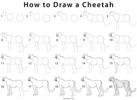 How to Draw a Cheetah (Step by Step Pictures) | Cool2bKids Draw A Cheetah, Tutorial For Drawing, Full Body Drawing, Cheetah Drawing, Cheetah Party, Simple Face Drawing, Bridge Drawing, Cheetah Face, Drawing Legs