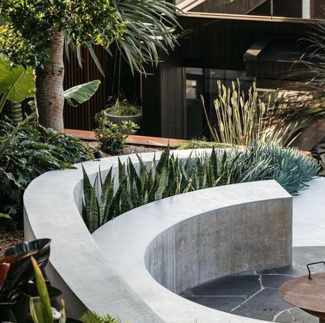 Inbuilt seating can be a great design feature whilst adding functionality. This example of a curved concrete bench creates an intimate atmosphere surrounding a fire pit, enhanced with plants and greenery. #exoticnurseries Curved Outdoor Benches, Fire Pit Landscape, Concrete Bench Outdoor, Crazy Pave, Backyard Creations, Winter Fire, Planter Bench, Curved Bench, Outdoor Sitting Area